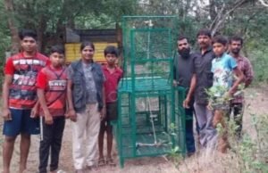 ಕುಂದಾಪುರ: ಮಾಲಾಡಿಯಲ್ಲಿ ಮತ್ತೆ ಚಿರತೆ ಪ್ರತ್ಯಕ್ಷ : ಬೋನು ಅಳವಡಿಕೆ…!!