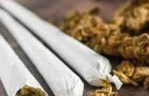 ಉಡುಪಿ : ಗಾಂಜಾ ಸೇವನೆ : ಮೂವರ ಬಂಧನ…!!