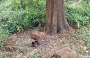 ಮಹಿಳೆಯೊಬ್ಬರಿಗೆ ಕತ್ತಿಯಿಂದ ಇರಿದ ಯುವಕ…!!