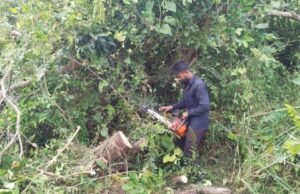 ಮುಳ್ಳಿಕಟ್ಟೆ: ರಸ್ತೆಗೆ ಚಾಚಿದ ಮರ ಗಿಡಗಳು ಅಪಘಾತ ತಪ್ಪಿಸಲು ತೆರವು ಕಾರ್ಯಾಚರಣೆ : ಮೇಘರಾಜ್ ಮಂಕಿ ಮತ್ತು ಸ್ನೇಹಿತರು…!!