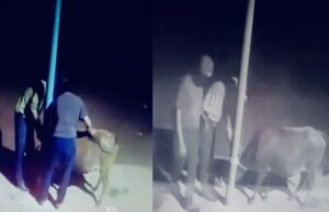 ವಿಟ್ಲ: ಪೆರುವಾಯಿ ಸೊಸೈಟಿ ಆವರಣದಿಂದ 4 ಜಾನುವಾರುಗಳ ಕಳವು : ದೃಶ್ಯ ಸಿಸಿ ಕ್ಯಾಮರಾದಲ್ಲಿ ಸೆರೆ…!!