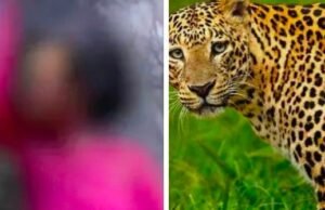 ಚಿಕ್ಕಮಗಳೂರು : ಮನೆಯ ಎದುರು ಬಾಲಕಿಯನ್ನು ಹೊತ್ತೊಯ್ದ ಚಿರತೆ…!!