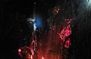 ಆಲದ ಮರದಲ್ಲಿ ಏಕಾಏಕಿ ಕಾಣಿಸಿ ಕೊಂಡ ಬೆಂಕಿ : ಕ್ಷಣ ಮಾತ್ರದಲ್ಲೇ ಧಗಧಗನೇ ಹೊತ್ತಿ ಉರಿದ ಆಲದ ಮರ…!!