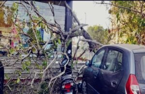 ಆಕಸ್ಮಿಕವಾಗಿ ನೆಲಕ್ಕುರುಳಿದ ಬೃಹತ್ ಗಾತ್ರದ ಮರ : ದ್ವಿಚಕ್ರ ವಾಹನಕ್ಕೆ ಹಾನಿ…!!