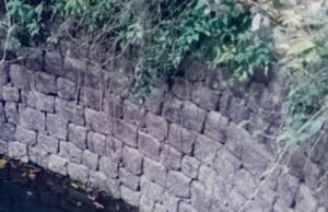 ಬಾವಿಗೆ ಬಿದ್ದ ಚಿರತೆ ಸಾವು…!!