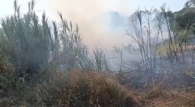 Screenshot_2026-01-27-10-44-44-980_com.whatsapp-edit