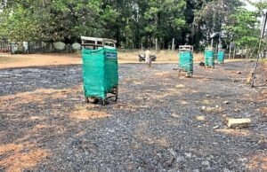 ಕಾರ್ಕಳ : ಬೆಂಕಿಗೆ ಹಲವು ಗಿಡಗಳು ಬಲಿ…!!