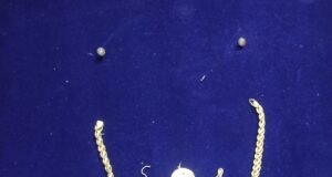 ಮೀನು ವ್ಯಾಪಾರಿಗೆ ಖಾರದ ಪುಡಿ ಎರಚಿ ಚಿನ್ನದ ಸರ ಸುಲಿಗೆ : ಓರ್ವ ಆರೋಪಿ ಬಂಧನ…!!