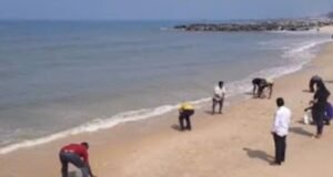 ಮರವಂತೆಯಲ್ಲಿ ದಡಕ್ಕೆ ಬಂದ ರಾಶಿ ರಾಶಿ ಬೂತಾಯಿ ಮೀನು…!!