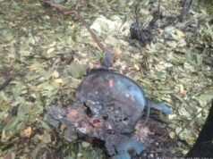 ವಿಟ್ಲ ಸಮೀಪ ಸುಡುಮದ್ದು ತಯಾರಿಕಾ ಘಟಕದಲ್ಲಿ ಸ್ಫೋಟ : ಓರ್ವ ವ್ಯಕ್ತಿ ಪೊಲೀಸ್ ವಶಕ್ಕೆ…!!