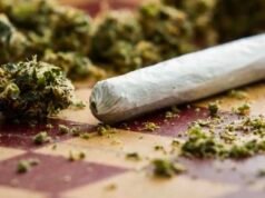 ಮಂಗಳೂರು : ಮಾದಕ ವಸ್ತು ಸೇವನೆ : ಯುವಕನೋರ್ವ ವಶಕ್ಕೆ…!!