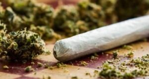 ಮಂಗಳೂರು : ಮಾದಕ ವಸ್ತು ಸೇವನೆ : ಯುವಕನೋರ್ವ ವಶಕ್ಕೆ…!!