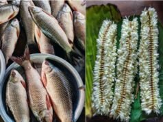 ಮಂಗಳೂರು : ವಿದೇಶಕ್ಕೆ ರಫ್ತಾಗುತ್ತಿದ್ದ ಮೀನು,ಮಲ್ಲಿಗೆ ಸ್ಥಗಿತ : ಕೋಟ್ಯಾಂತರ ರೂ. ನಷ್ಟ…!!