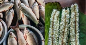 ಮಂಗಳೂರು : ವಿದೇಶಕ್ಕೆ ರಫ್ತಾಗುತ್ತಿದ್ದ ಮೀನು,ಮಲ್ಲಿಗೆ ಸ್ಥಗಿತ : ಕೋಟ್ಯಾಂತರ ರೂ. ನಷ್ಟ…!!