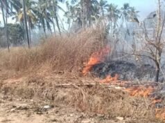 ಪಳ್ಳಿ ಕಲ್ಲಾಪು ಪರಿಸರದಲ್ಲಿ ಅಗ್ನಿ ಅನಾಹುತ: ಅಗ್ನಿಶಾಮಕ ದಳದಿಂದ ಕಾರ್ಯಾಚರಣೆ