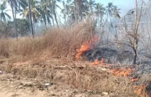 ಪಳ್ಳಿ ಕಲ್ಲಾಪು ಪರಿಸರದಲ್ಲಿ ಅಗ್ನಿ ಅನಾಹುತ : ಅಗ್ನಿಶಾಮಕ ದಳದಿಂದ ಕಾರ್ಯಾಚರಣೆ…!!