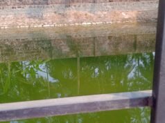 ಕುಂದಾಪುರ: 40 ವರ್ಷದಿಂದ ನೆನೆ ಗುದಿಗೆ ಬಿದ್ದಿರುವ ಕೆರೆಯನ್ನು ಪುನರ್ಚೇತನ ಗೊಳ್ಳಿಸಿದ: ಪುರಸಭೆ ಸದಸ್ಯ