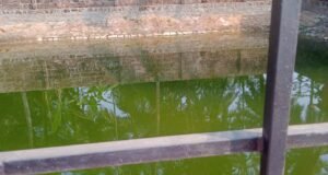 ಕುಂದಾಪುರ: 40 ವರ್ಷದಿಂದ ನೆನೆ ಗುದಿಗೆ ಬಿದ್ದಿರುವ ಕೆರೆಯನ್ನು ಪುನರ್ಚೇತನ ಗೊಳ್ಳಿಸಿದ : ಪುರಸಭೆ ಸದಸ್ಯ…!!