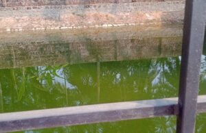 ಕುಂದಾಪುರ: 40 ವರ್ಷದಿಂದ ನೆನೆ ಗುದಿಗೆ ಬಿದ್ದಿರುವ ಕೆರೆಯನ್ನು ಪುನರ್ಚೇತನ ಗೊಳ್ಳಿಸಿದ : ಪುರಸಭೆ ಸದಸ್ಯ…!!