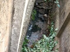 ಕುಕ್ಕಿಕಟ್ಟೆ- ಮುಚ್ಲುಗೋಡು ಸಂಪರ್ಕ ರಸ್ತೆ ಬಳಿ ಗಬ್ಬು ನಾರುತ್ತಿರುವ ಡ್ರೈನೇಜ್