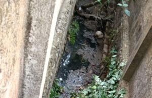 ಕುಕ್ಕಿಕಟ್ಟೆ- ಮುಚ್ಲುಗೋಡು ಸಂಪರ್ಕ ರಸ್ತೆ ಬಳಿ ಗಬ್ಬು ನಾರುತ್ತಿರುವ ಡ್ರೈನೇಜ್