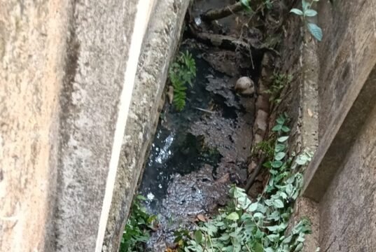 ಉಡುಪಿ : ಕುಕ್ಕಿಕಟ್ಟೆ- ಮುಚ್ಲುಗೋಡು ಸಂಪರ್ಕ ರಸ್ತೆ ಬಳಿ ಗಬ್ಬು ನಾರುತ್ತಿರುವ ಡ್ರೈನೇಜ್…!!