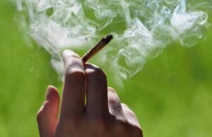 ಬಜ್ಪೆ: ಗಾಂಜಾ ಸೇವನೆ ಮಾಡಿದ ಯುವಕ ಪೊಲೀಸ್ ವಶಕ್ಕೆ..!