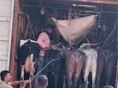 ಅಕ್ರಮ ಜಾನುವಾರು ಸಾಗಾಟ : ಓರ್ವ ಅರೆಸ್ಟ್ ಮತ್ತೋರ್ವ ಎಸ್ಕೇಪ್….!