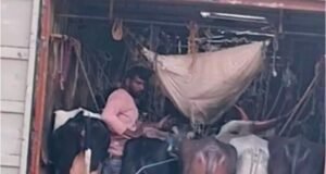 ಅಕ್ರಮ ಜಾನುವಾರು ಸಾಗಾಟ : ಓರ್ವ ಅರೆಸ್ಟ್ ಮತ್ತೋರ್ವ ಎಸ್ಕೇಪ್….!