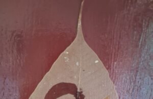 ಜನ್ಮದಿನದ ಅಂಗವಾಗಿ ರಚಿಸಿದ ಅಶ್ವಥ ಎಲೆಯಲ್ಲಿ ಮೂಡಿದ. ನಟಸಾರ್ವಭೌಮ. ಡಾ. ರಾಜ್