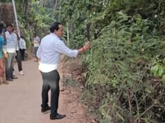 ರಸ್ತೆಗೆ ತಾಗಿಕೊಂಡಿರುವ ಮುಳ್ಳು ಗಿಡಗಂಟಿಗಳನ್ಬು ನೀವೇ ಕಡಿಯಿರಿ: ಶಾಸಕ ಅಶೋಕ್ ರೈ ಮನವಿ