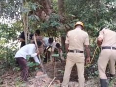ಉಡುಪಿ: ಪಾಳುಬಾವಿಯಲ್ಲಿ ಕೊಳೆತ ಸ್ಥಿತಿಯಲ್ಲಿ ವ್ಯಕ್ತಿಯ ಶವ ಪತ್ತೆ