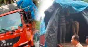 ಮಂಗಳೂರು: ಅಕ್ರಮ ಜಾನುವಾರು ಸಾಗಾಟ ಜಾಲ ಪತ್ತೆ : 27 ಕೋಣಗಳ ರಕ್ಷಣೆ, ನಾಲ್ವರು ಅರೆಸ್ಟ್…!!
