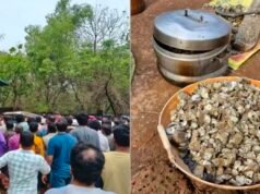 ಕಪ್ಪೆ ಚಿಪ್ಪು ಸಂಗ್ರಹಿಸಲು ನದಿಗೆ ತೆರಳಿದ್ದ 8 ಮಂದಿ ಮೃತ್ಯು…!!