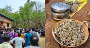 ಕಪ್ಪೆ ಚಿಪ್ಪು ಸಂಗ್ರಹಿಸಲು ನದಿಗೆ ತೆರಳಿದ್ದ 8 ಮಂದಿ ಮೃತ್ಯು…!!