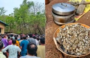 ಕಪ್ಪೆ ಚಿಪ್ಪು ಸಂಗ್ರಹಿಸಲು ನದಿಗೆ ತೆರಳಿದ್ದ 8 ಮಂದಿ ಮೃತ್ಯು…!!