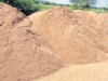 ಉಪ್ಪಿನಂಗಡಿ: ಅಕ್ರಮ ಮರಳು ದಾಸ್ತಾನು…!!