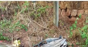 ಮೂಡುಬಿದಿರೆ: ಪಲ್ಟಿಯಾದ ಖಾಸಗಿ ಬಸ್ ಸ್ಕೂಟರ್ಗೆ ಡಿಕ್ಕಿ : ಸಹ ಸವಾರೆ ಮಹಿಳೆ ಮೃತ್ಯು…!!