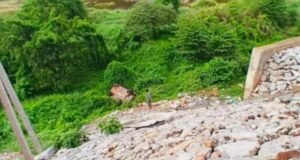 ಉಪ್ಪಿನಂಗಡಿ: ಕಂದಕಕ್ಕೆ ಉರುಳಿ ಬಿದ್ದ ಕಾರು…!!