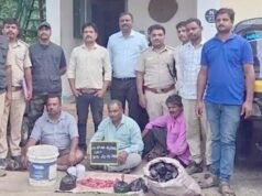 ಜಿಂಕೆ ಮಾಂಸ ಮಾರಾಟ: ಮೂವರು ಆರೋಪಿಗಳ ಬಂಧನ