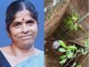 ಕೆಮ್ಮಣ್ಣು: ಬಾವಿಗೆ ಬಿದ್ದು ಗಾಯಗೊಂಡಿದ್ದ ಮಹಿಳೆ ಚಿಕಿತ್ಸೆ ಫಲಿಸದೇ ಮೃತ್ಯು…!!