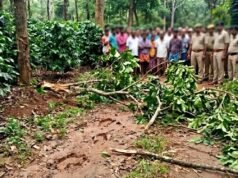 ಕೊಡಗು : ಕಾಡಾನೆ ತುಳಿತಕ್ಕೆ ನಿವೃತ್ತ ಐಜಿಪಿ ಪತ್ನಿ ಸಾವು