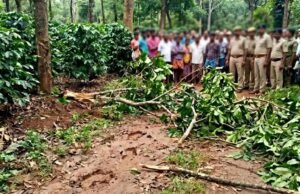 ಕೊಡಗು : ಕಾಡಾನೆ ತುಳಿತಕ್ಕೆ ನಿವೃತ್ತ ಐಜಿಪಿ ಪತ್ನಿ ಸಾವು…!!