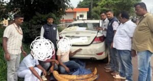 ಮಂಗಳೂರು: ಅಕ್ರಮ ಆನೆದಂತ ಮಾರಾಟ ಜಾಲ ಭೇದಿಸಿದ ಪೊಲೀಸರು : 42 ಕೆಜಿ ತೂಕದ ದಂತ ವಶಕ್ಕೆ…!!