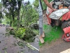 ಚಲಿಸುತ್ತಿದ್ದ ಕಾರಿನ ಮೇಲೆ ಬಿದ್ದ ಮರ ಮತ್ತು ವಿದ್ಯುತ್ ಕಂಬ