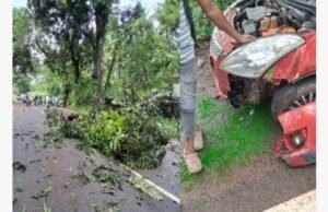 ಚಲಿಸುತ್ತಿದ್ದ ಕಾರಿನ ಮೇಲೆ ಬಿದ್ದ ಮರ ಮತ್ತು ವಿದ್ಯುತ್ ಕಂಬ…!!
