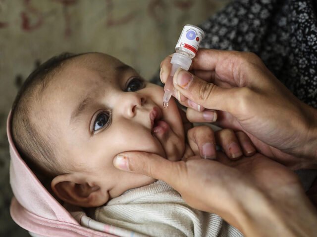 big_polio