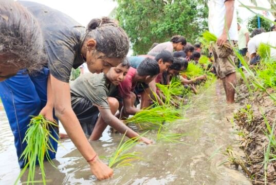 ಟೀಮ್ ನೇಷನ್ ಫಸ್ಟ್ ಇದರ 9ನೇ ವರ್ಷದ ಚಿಣ್ಣರ ನಟ್ಟಿ ಕಾರ್ಯಕ್ರಮ…!!