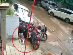 ಬಾಲಕನೋರ್ವನಿಂದ ಏಳು ವಾಹನಗಳಿಗೆ ಢಿಕ್ಕಿ…!!