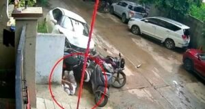 ಬಾಲಕನೋರ್ವನಿಂದ ಏಳು ವಾಹನಗಳಿಗೆ ಢಿಕ್ಕಿ…!!